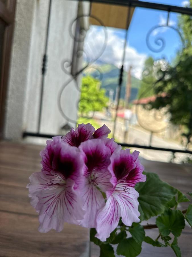 Bala'S House Hotel Mestia Kültér fotó